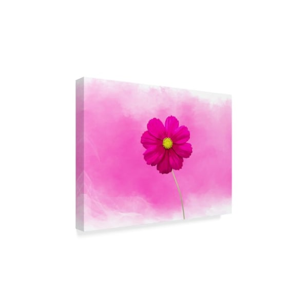 Ata Alishahi 'Pink Flower' Canvas Art,35x47